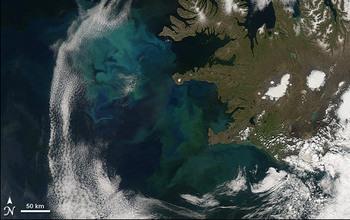 The bright blue and green colors in this satellite image show the North Atlantic Bloom.
